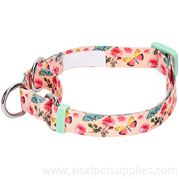 2020 Personalized Sublimation Blank Pet Collar Dog Collar